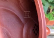 《魚(yú)化龍套組》