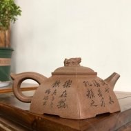 樂(lè )在其中