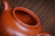 《夢(mèng)蝶掇球》