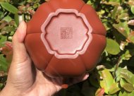 葵仿古；大紅袍450CC