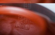 《魚(yú)化龍》