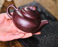 魚(yú)趣