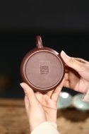 《魚(yú)樂(lè )》