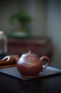 《瓜瓜來(lái)財》