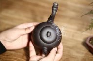 《樂(lè )竹》