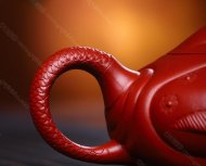 魚(yú)化龍
