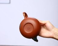 魚(yú)樂(lè )