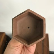 樂(lè )在其中