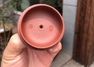 此樂(lè )提梁