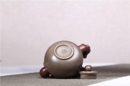 《桃李滿(mǎn)園》