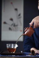 《魚(yú)樂(lè )壺》
